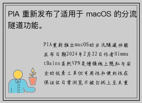 PIA 重新发布了适用于 macOS 的分流隧道功能。